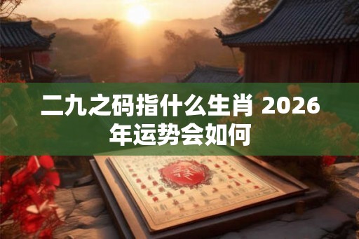 二九之码指什么生肖 2026年运势会如何
