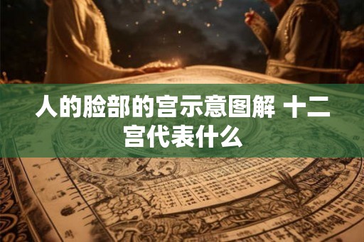 人的脸部的宫示意图解 十二宫代表什么
