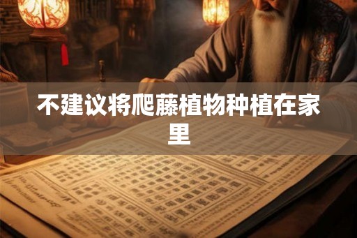 不建议将爬藤植物种植在家里