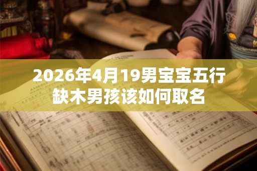 2026年4月19男宝宝五行缺木男孩该如何取名