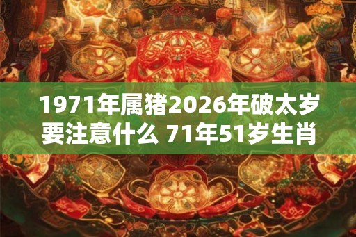 1971年属猪2026年破太岁要注意什么 71年51岁生肖猪逢虎年运势如何