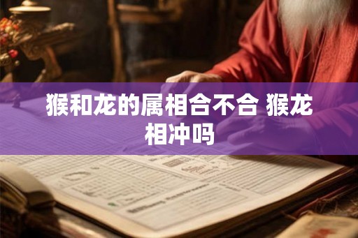 猴和龙的属相合不合 猴龙相冲吗