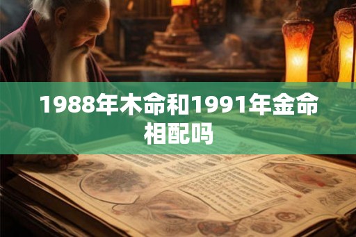 1988年木命和1991年金命相配吗