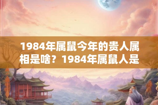1984年属鼠今年的贵人属相是啥？1984年属鼠人是什么命？