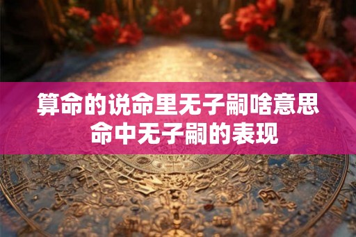 算命的说命里无子嗣啥意思  命中无子嗣的表现