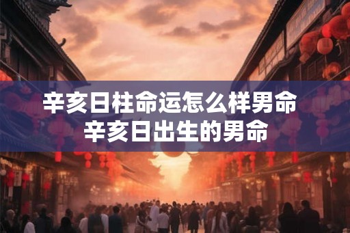 辛亥日柱命运怎么样男命 辛亥日出生的男命 辛亥日柱命运怎么样男命 辛亥日出生的男命