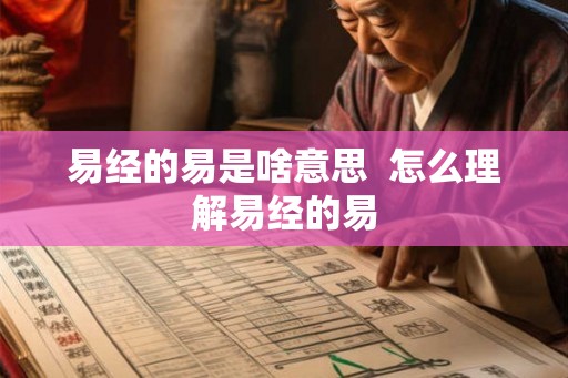 易经的易是啥意思  怎么理解易经的易