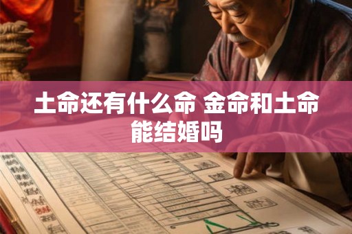 土命还有什么命 金命和土命能结婚吗