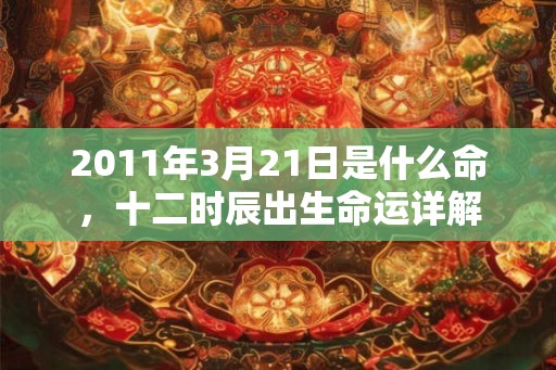 2011年3月21日是什么命，十二时辰出生命运详解