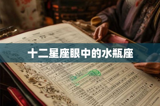十二星座眼中的水瓶座