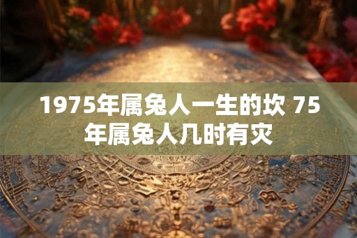 1975年属兔人一生的坎 75年属兔人几时有灾