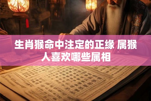 生肖猴命中注定的正缘 属猴人喜欢哪些属相