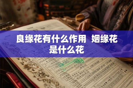 良缘花有什么作用  姻缘花是什么花