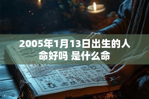 2005年1月13日出生的人命好吗 是什么命