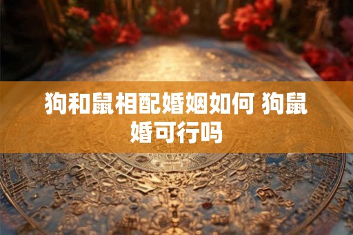 狗和鼠相配婚姻如何 狗鼠婚可行吗