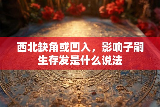 西北缺角或凹入，影响子嗣生存发是什么说法