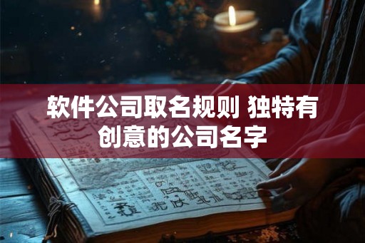 软件公司取名规则 独特有创意的公司名字