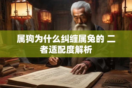 属狗为什么纠缠属兔的 二者适配度解析