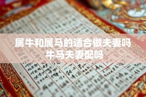 属牛和属马的适合做夫妻吗 牛马夫妻配吗 属牛和属马的适合做夫妻吗 牛马夫妻配吗