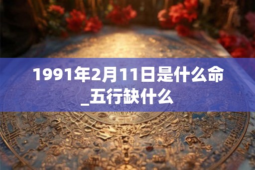 1991年2月11日是什么命_五行缺什么