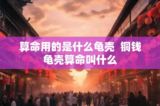 算命用的是什么龟壳  铜钱龟壳算命叫什么