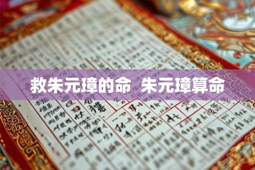 救朱元璋的命  朱元璋算命