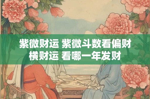 紫微财运 紫微斗数看偏财横财运 看哪一年发财