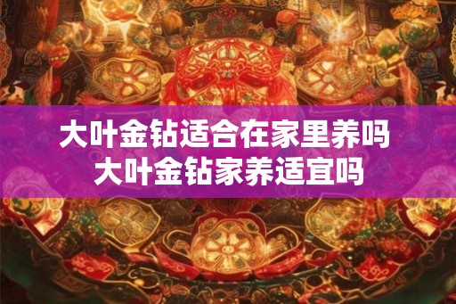 大叶金钻适合在家里养吗 大叶金钻家养适宜吗
