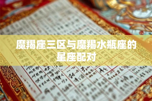 魔羯座三区与魔羯水瓶座的星座配对