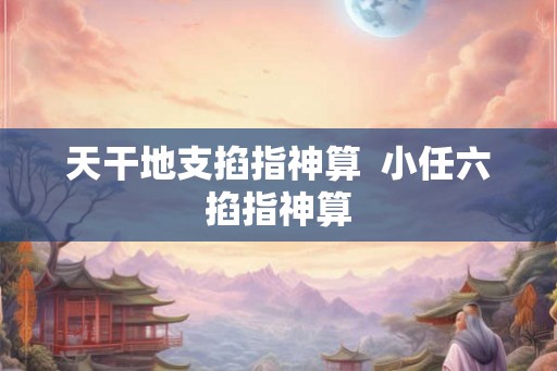 天干地支掐指神算  小任六掐指神算