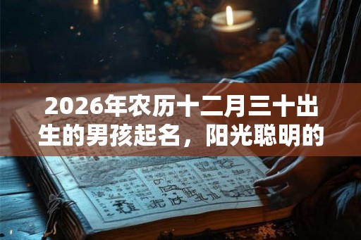 2026年农历十二月三十出生的男孩起名，阳光聪明的名字