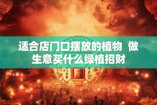 适合店门口摆放的植物  做生意买什么绿植招财