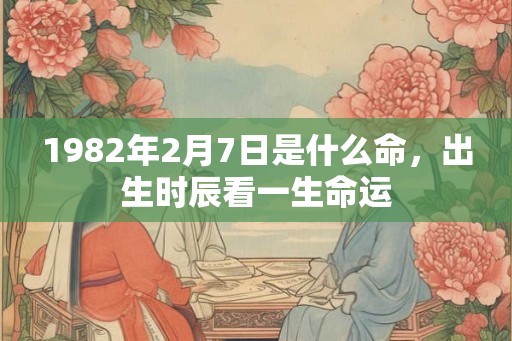 1982年2月7日是什么命，出生时辰看一生命运