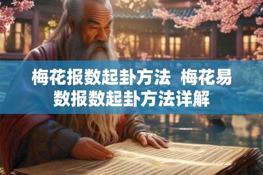 梅花报数起卦方法 梅花易数报数起卦方法详解 梅花报数起卦方法 梅花易数报数起卦方法详解
