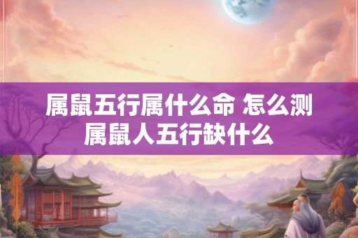 属鼠五行属什么命 怎么测属鼠人五行缺什么