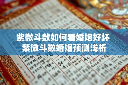 紫微斗数如何看婚姻好坏 紫微斗数婚姻预测浅析