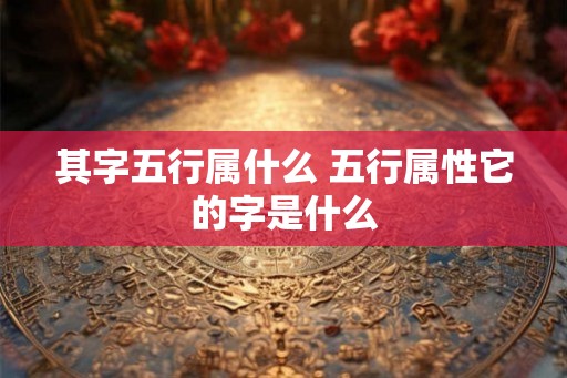 其字五行属什么 五行属性它的字是什么