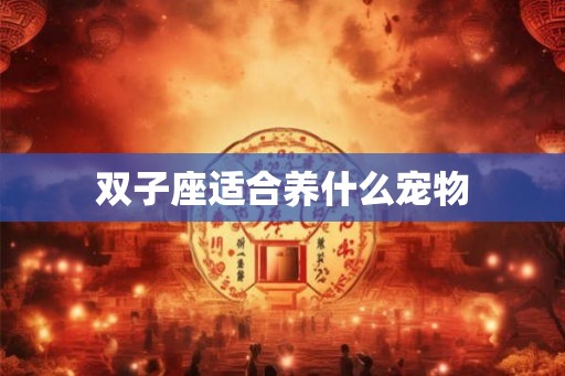 双子座适合养什么宠物