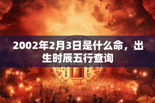 2002年2月3日是什么命，出生时辰五行查询