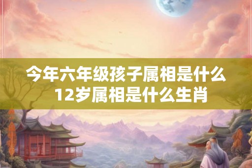 今年六年级孩子属相是什么  12岁属相是什么生肖
