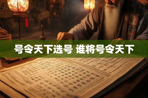 号令天下选号 谁将号令天下