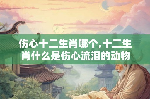 伤心十二生肖哪个,十二生肖什么是伤心流泪的动物