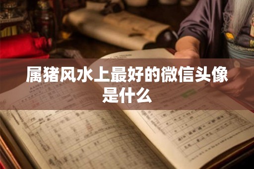 属猪风水上最好的微信头像是什么
