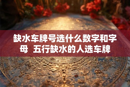 缺水车牌号选什么数字和字母  五行缺水的人选车牌