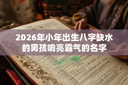 2026年小年出生八字缺水的男孩响亮霸气的名字
