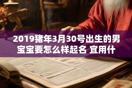 2019猪年3月30号出生的男宝宝要怎么样起名 宜用什么字