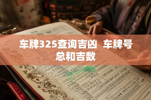 车牌325查询吉凶  车牌号总和吉数