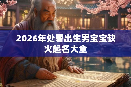 2026年处暑出生男宝宝缺火起名大全