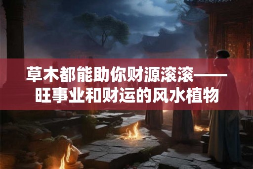 草木都能助你财源滚滚——旺事业和财运的风水植物