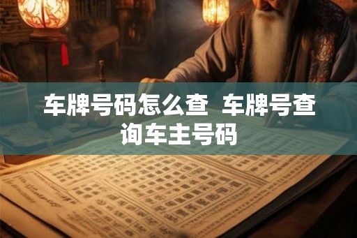 车牌号码怎么查 车牌号查询车主号码 车牌号码怎么查 车牌号查询车主号码